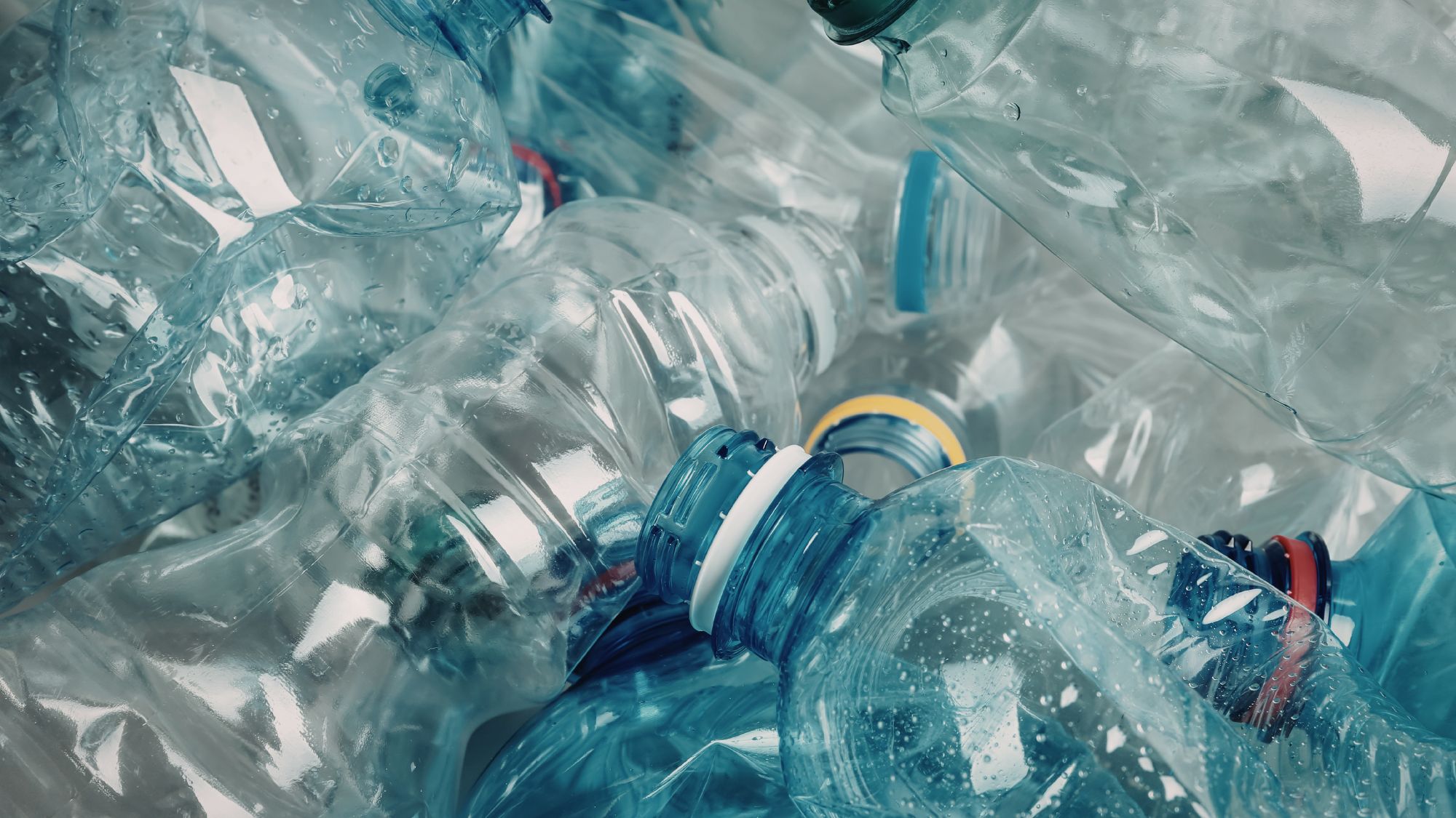 Global digital plattform for TOMRA | Epinova
