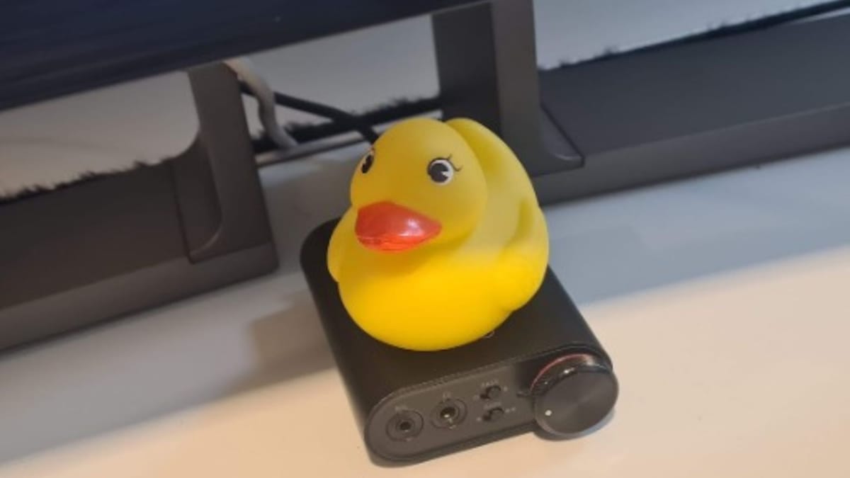 Bilde av Thomas sin 20 år gamle rubber duck