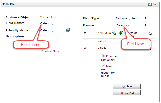 Image shows where you find the field type and field name in a dictionary item in EPiServer Commerce