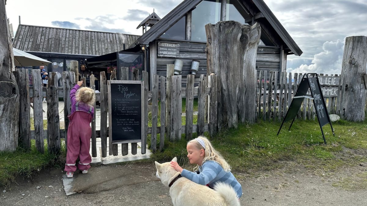 Barna på Brimi Sæter.